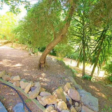 V&v Lloret-villa Margarita Preciosa Para 9pax Con Preciosas Vistas Al Mar Y Piscina Privada Con Gran Jardin Vila Lloret de Mar
